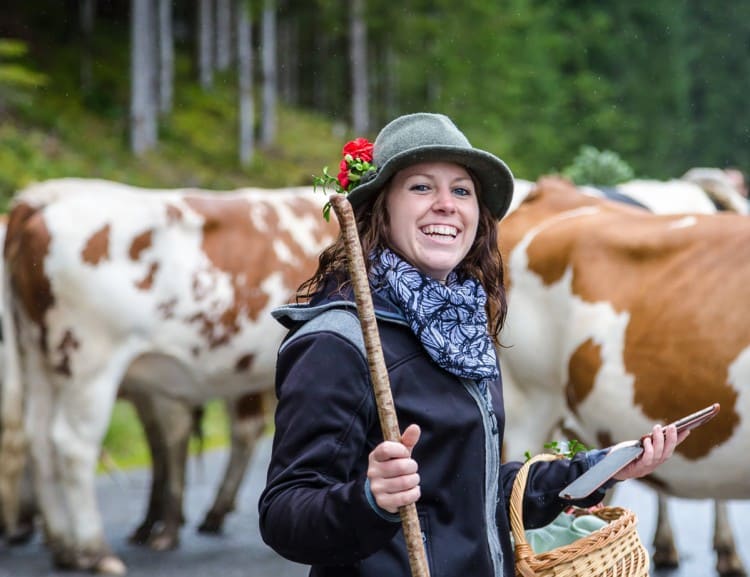  Dairywoman Justi drives her cattle from the pasture. © Tourismusinformation Filzmoos