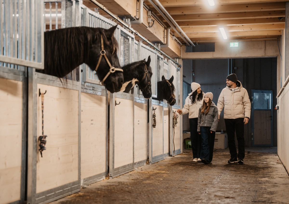 Willkommen im neuen Erlebnisstall | Neubergerhof in Filzmoos