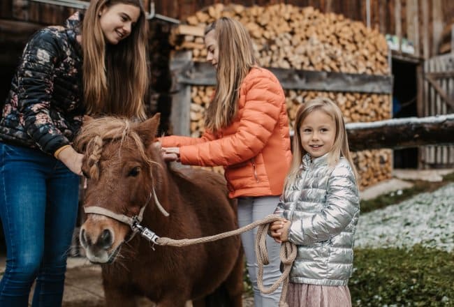 Zwergpony Nelly auf unserem Bauernhof