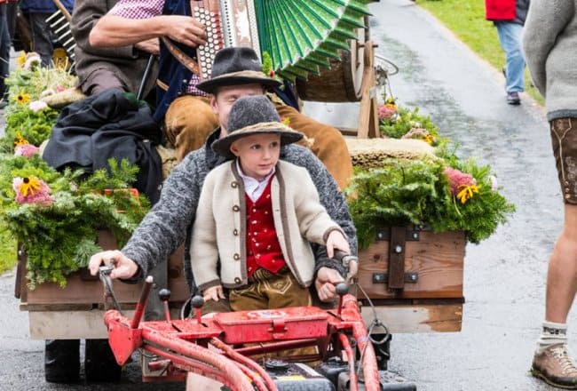 Almabtrieb in Filzmoos, Österreich