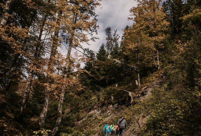 Wonderful nature around the archery course