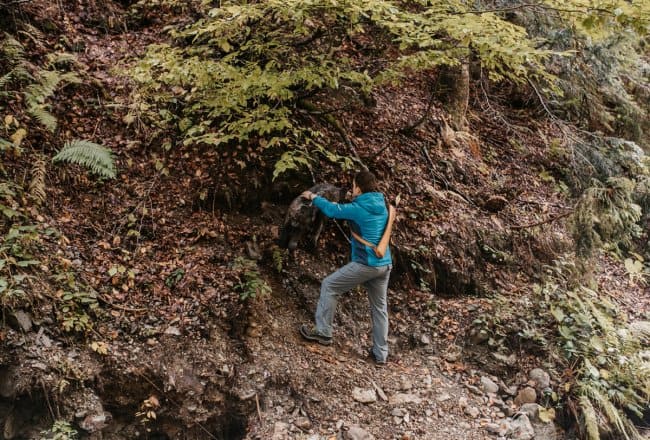 Active vacation in the Salzburg region