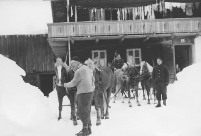 Pferdeschlitten beim Bacher 1964