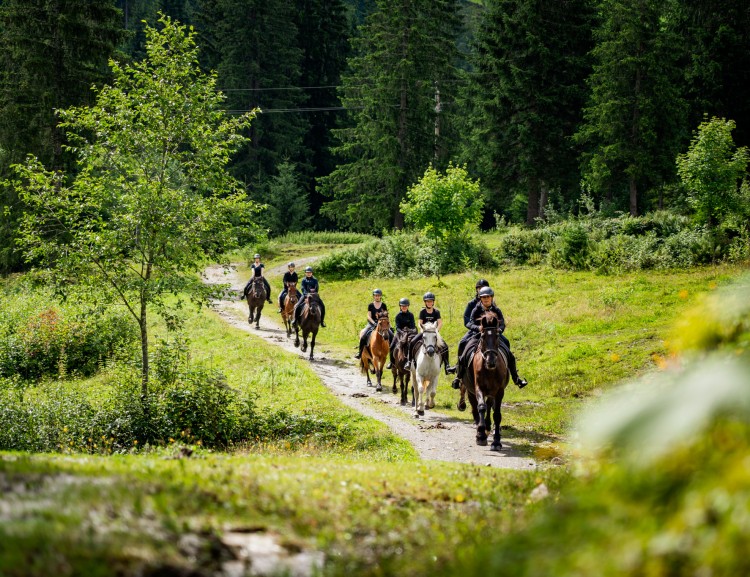 Beim Ausritt geht es über Stock und Stein.  © Markus Kohlmayer