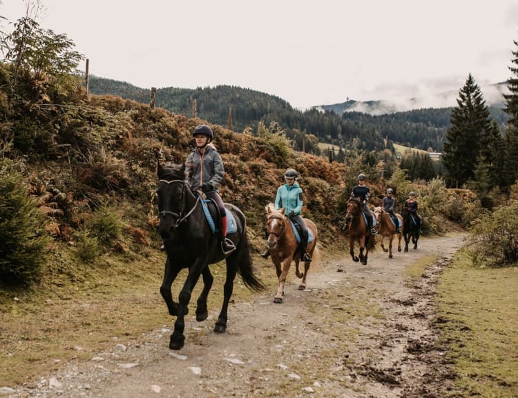 Ausritte im Gelände für fortgeschrittene Reiter © Selina Flasch Photography