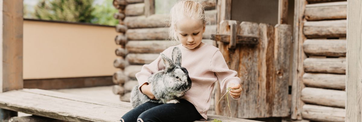 Bauernhof und Streichelzoo mit Hasen, Meerschweinchen und vielem mehr in Filzmoos