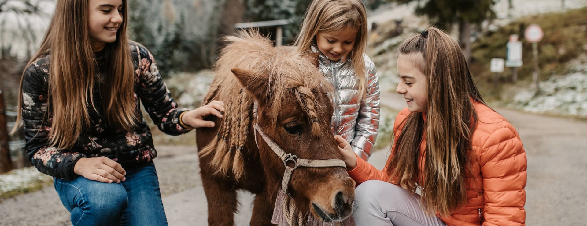  Farm and petting zoo with rabbits, guinea pigs and much more in Filzmoos
