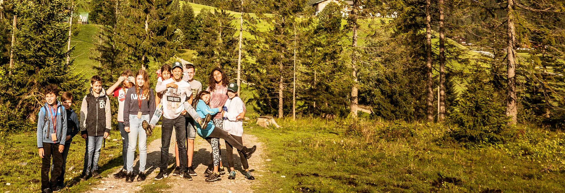 Spaziergang durch den Wald