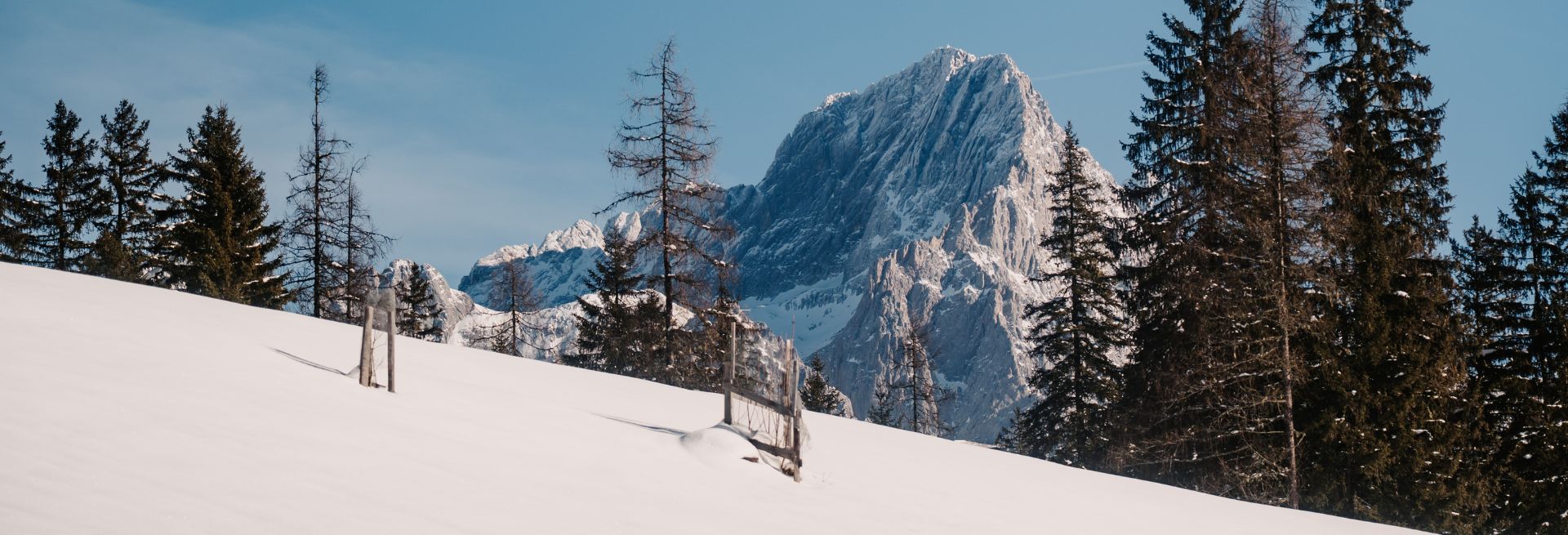 Skifahren in Filzmoos, Ski amadé in Österreich
