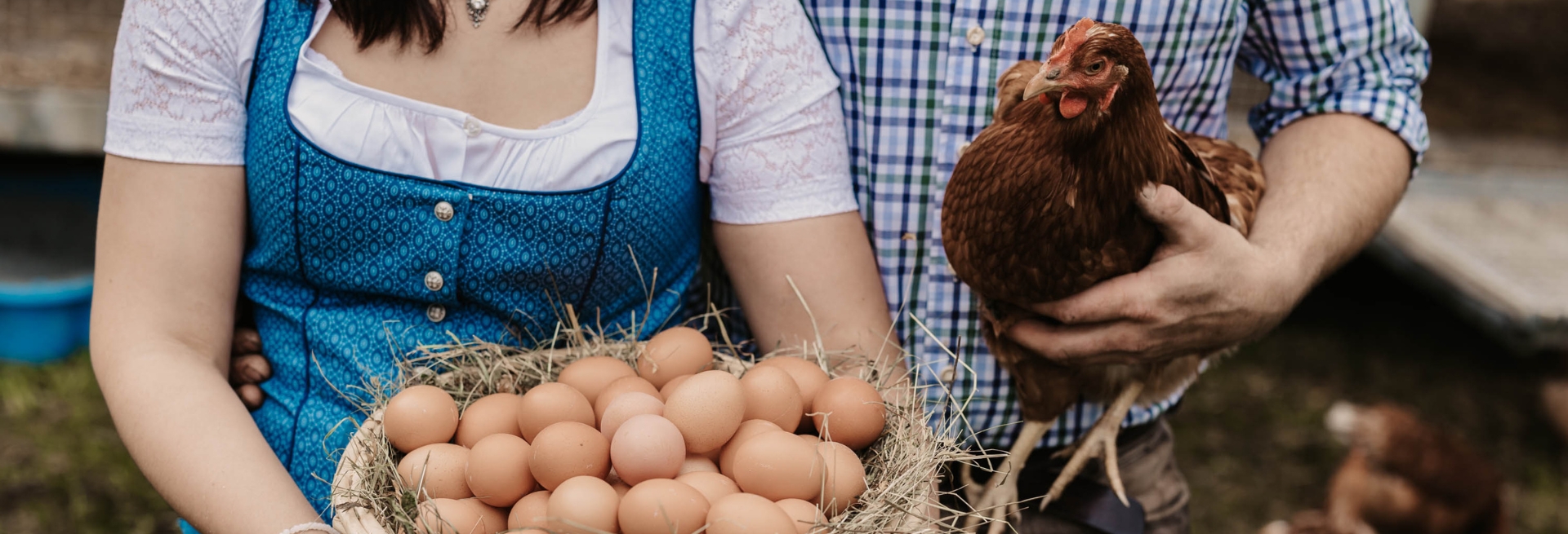  Fresh eggs from the Rettenwender family, Kirchgasshof Filzmoos