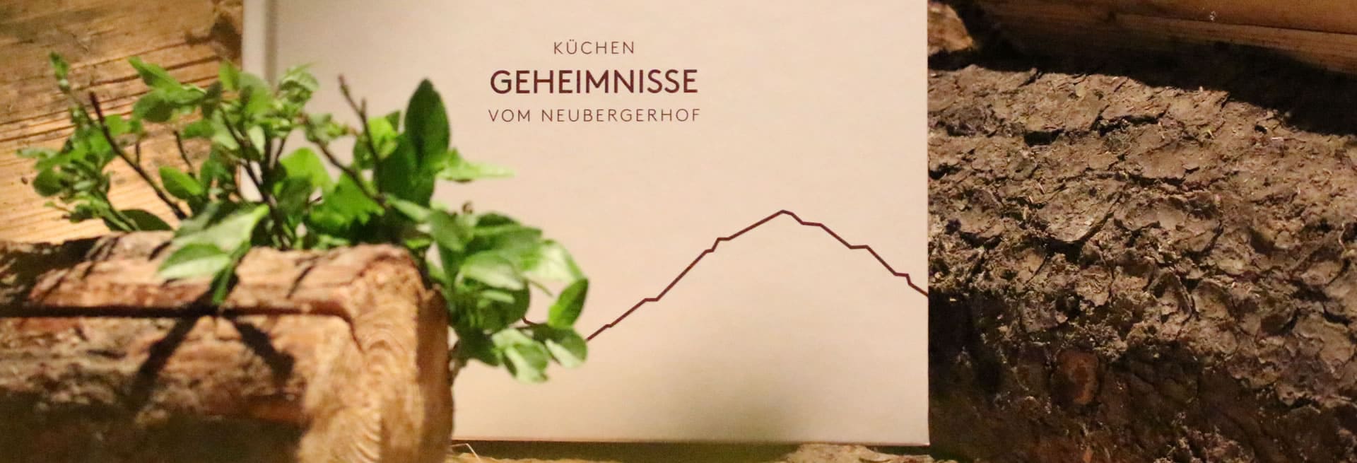 Kochbuch vom Hotel Neubergerhof in Filzmoos