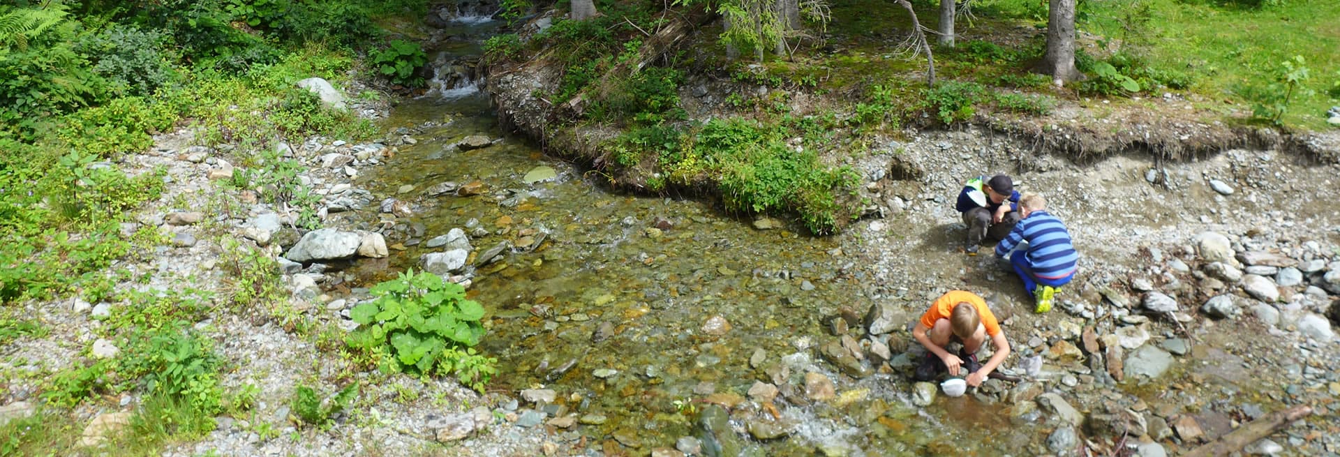 Playing by the stream