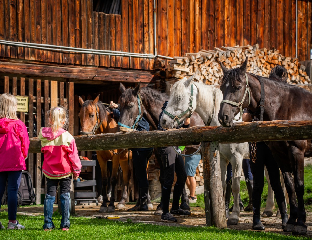 Ausritt am Neubergerhof © Selina Flasch Photography