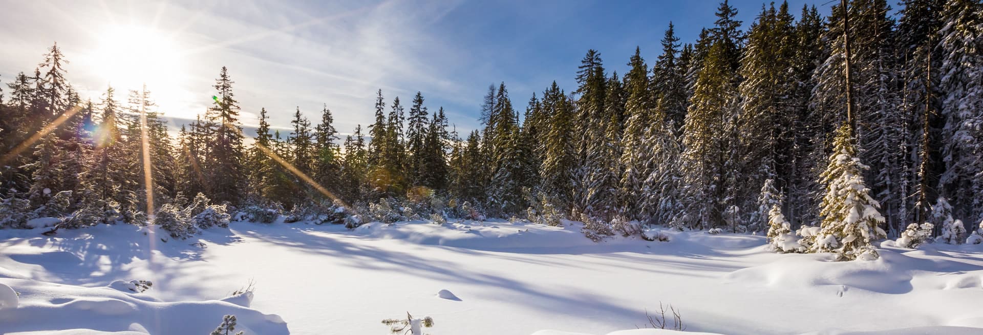 Schöne Winterlandschaft in Filzmoos