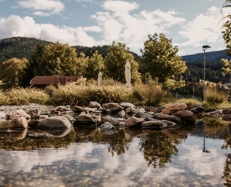 Summer vacation in the 4* Hotel Neubergerhof