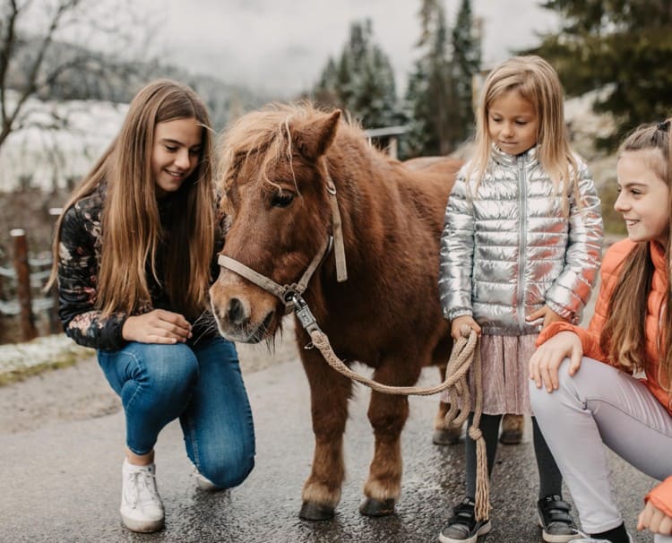 Miniature pony Nelly at the farm © Selina Flasch Photography
