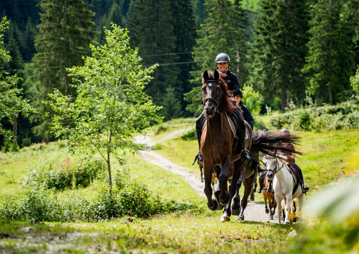 Reiten mit Geli Reiter