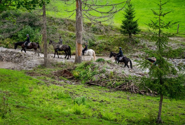 Gelände reiten in der Gruppe
