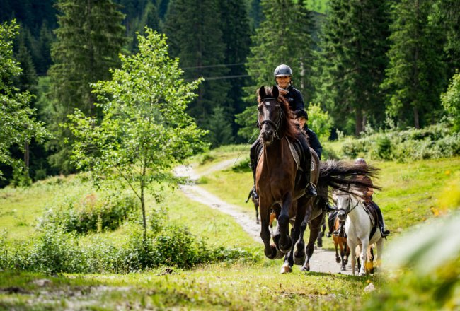 Galoppausritt im Gelände