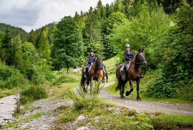 Viele Möglichkeiten für Trab- und Galoppausritte
