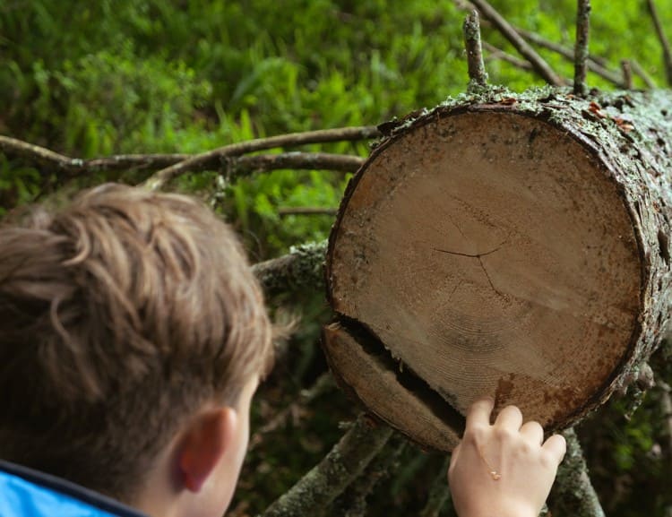 Jahresringe zähen © Mannitou Outdoor