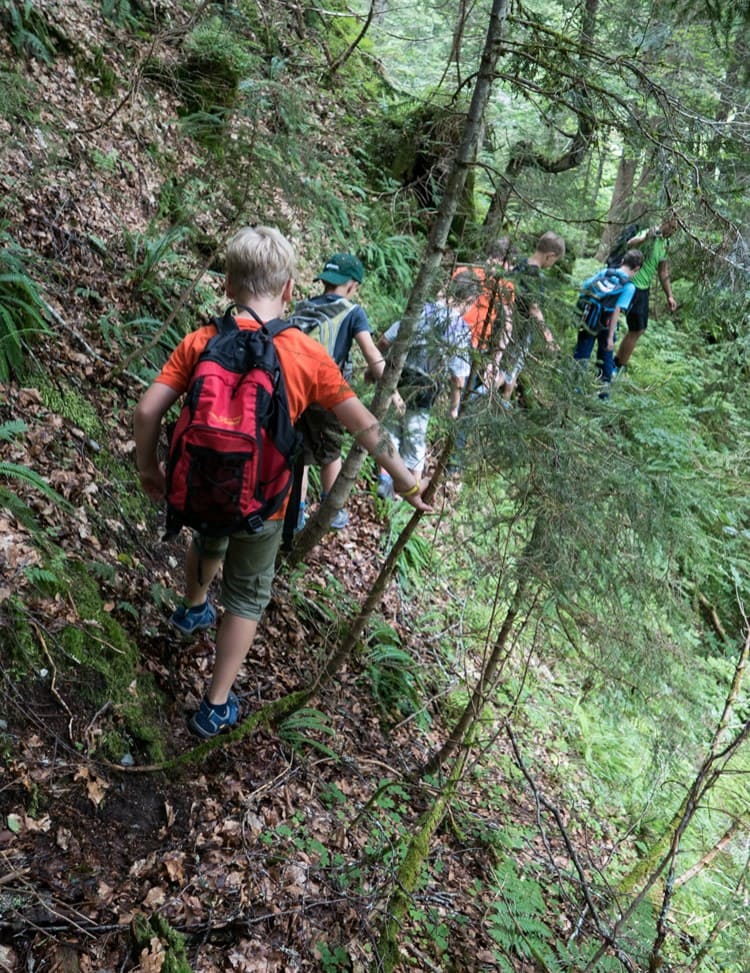 Wanderung durch den Wald © Mannitou Outdoor