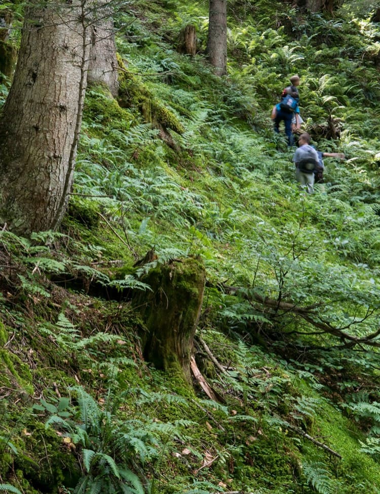 Waldspaziergang © Mannitou Outdoor