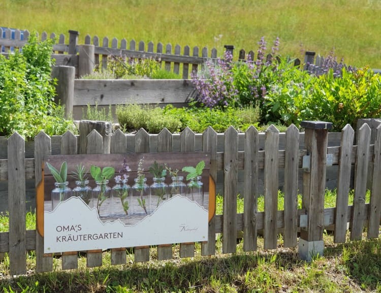 Oma's Kräutergarten