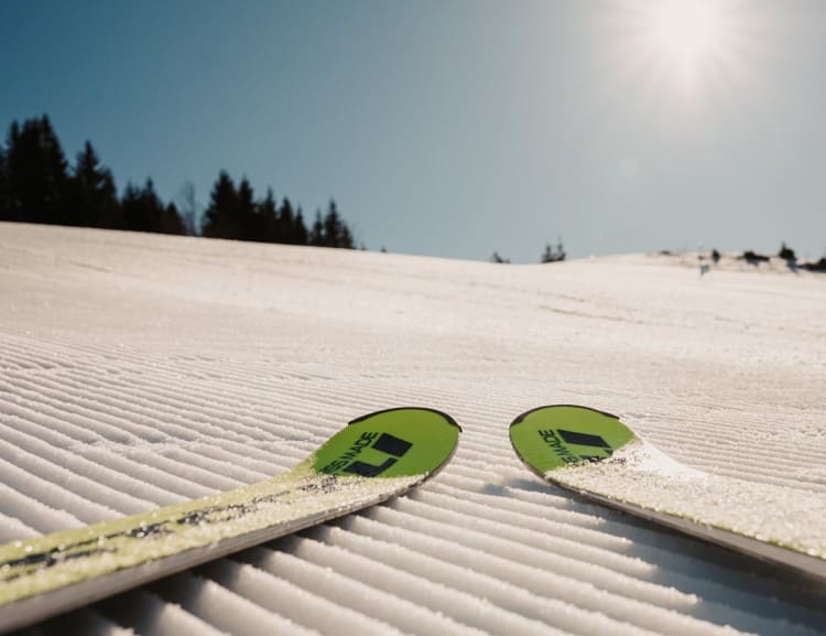 Skiing in Ski amadé © Selina Flasch Photography