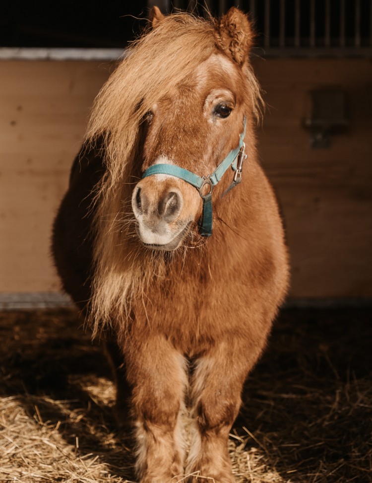 Nelly &copy; Selina Flasch Photography