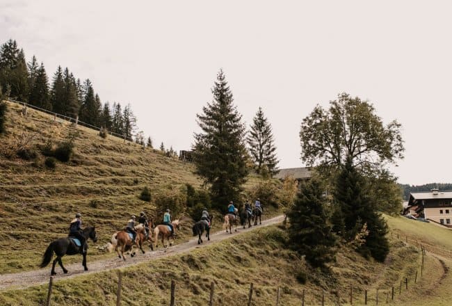 Reiten in Filzmoos, Land Salzburg