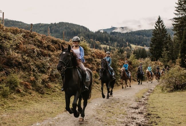 Galoppieren mit den Pferden
