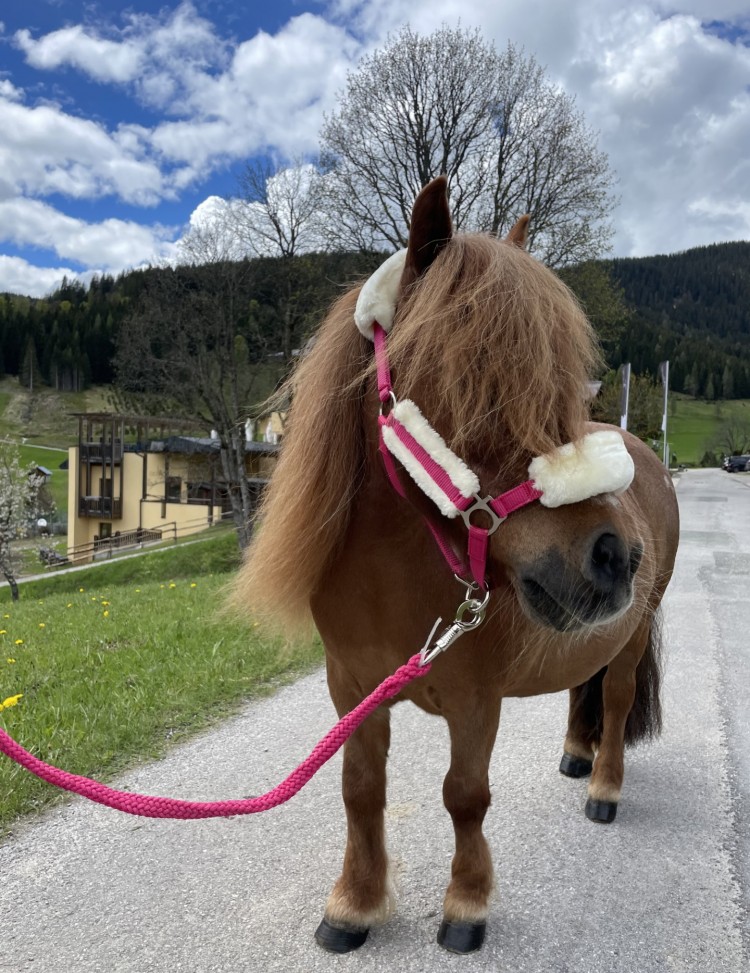 Nelly © Selina Flasch Photography