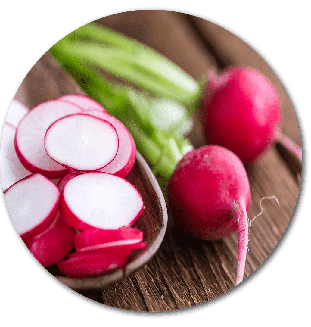 Lachstartare mit Radieschensalat