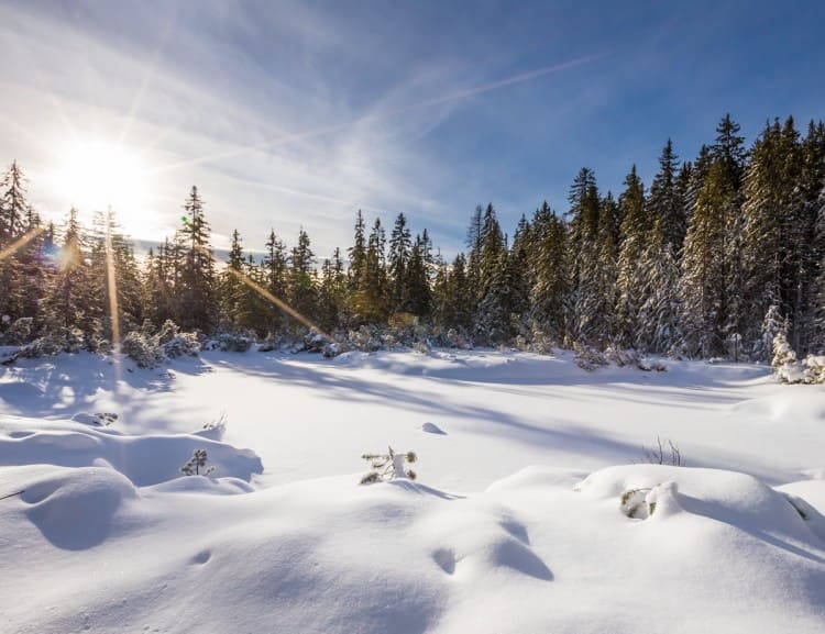  Snow landscape in Filzmoos © Coen Weesjes