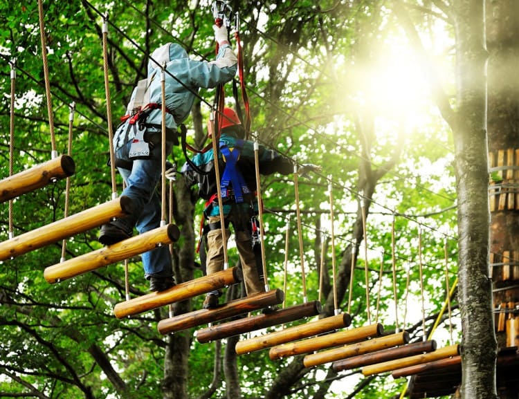 Klettern im Klettergarten
