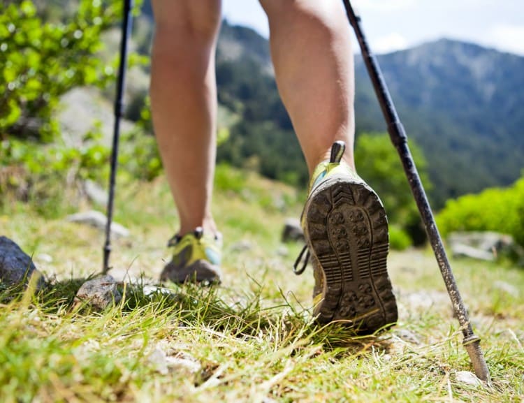 Nordic Walking in der Natur