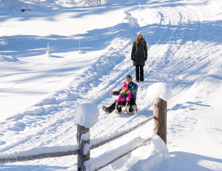 Rodelstrecken gibt es rund ums Haus © Klaus Bauer