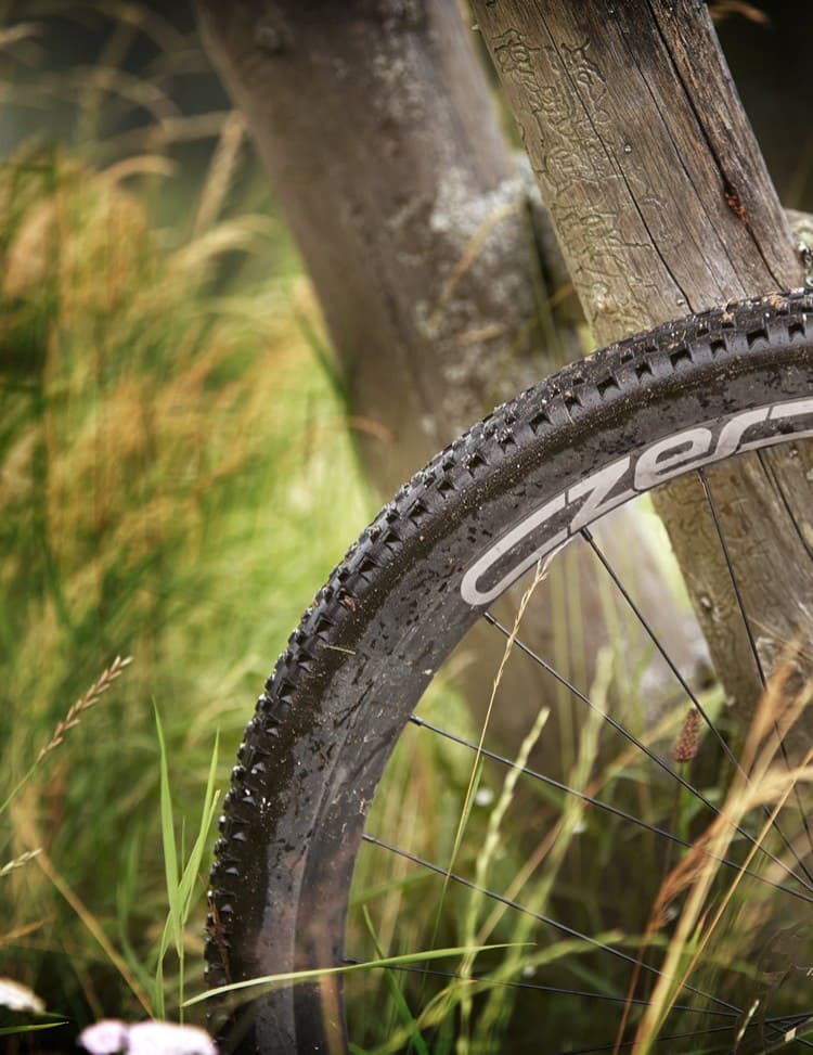 Biking and e-biking on a summer vacation in the Salzburg Sports World