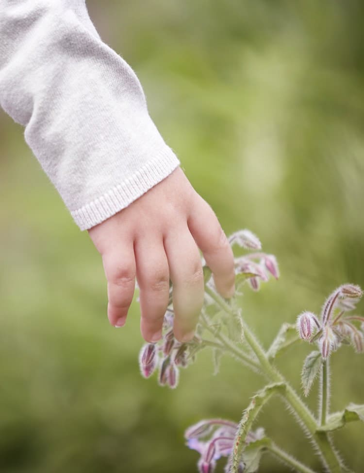 Summer vacation with children