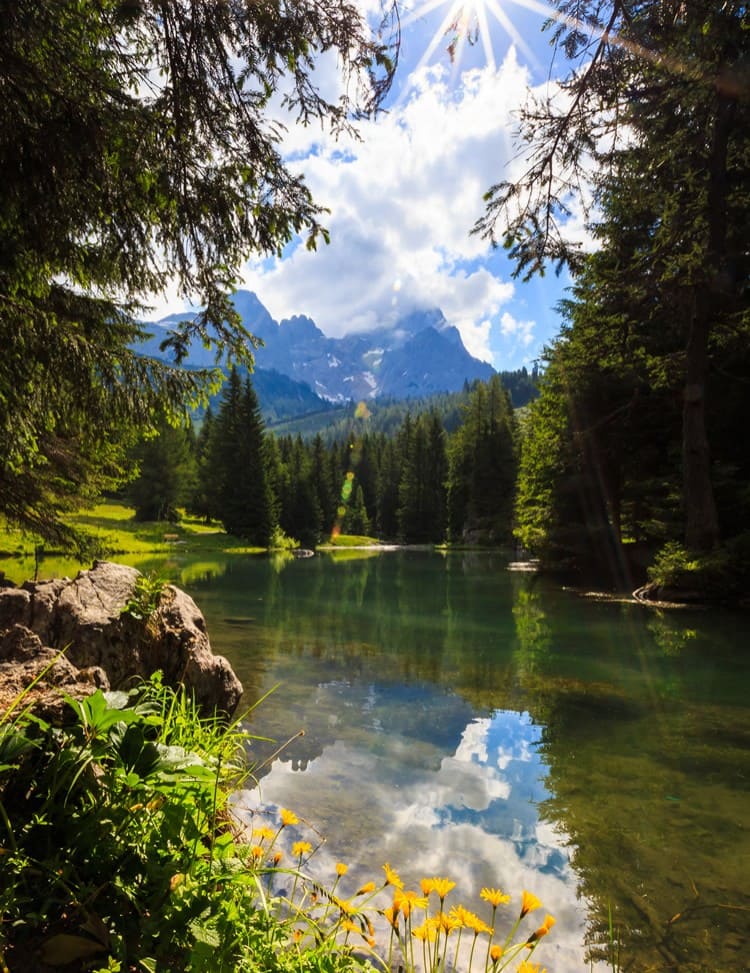 Der Filzmooser Almsee