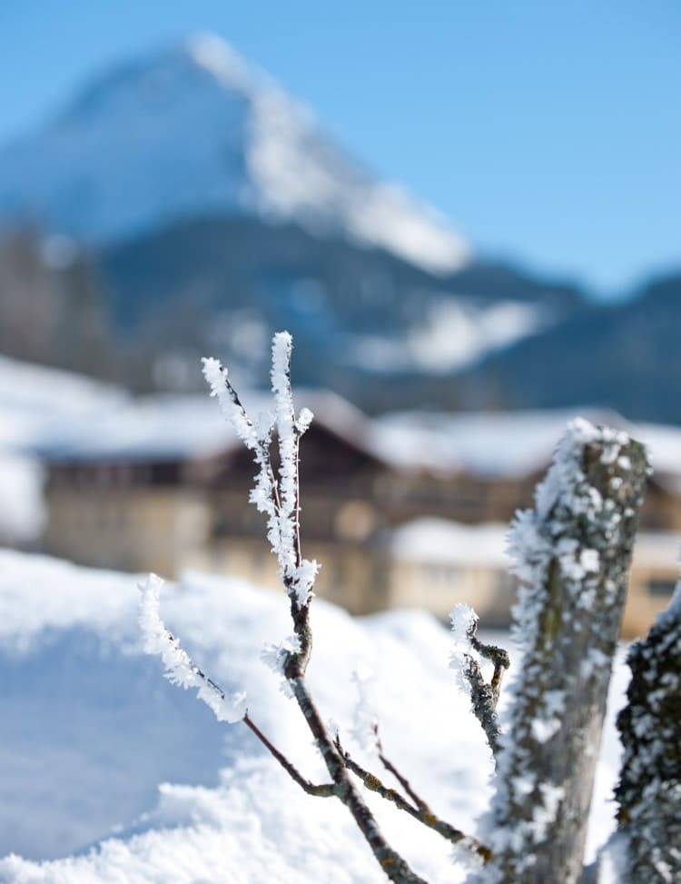 Tief verschneit im Winterwunderland von Neuberg - Filzmoos liegt unser 4-Sterne Hotel Neubergerhof © Gerhard Wolkersdorfer