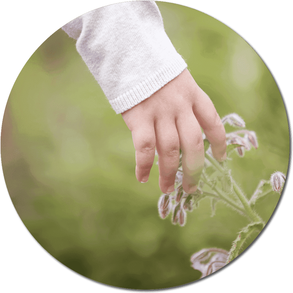 Kinderhand und Blume