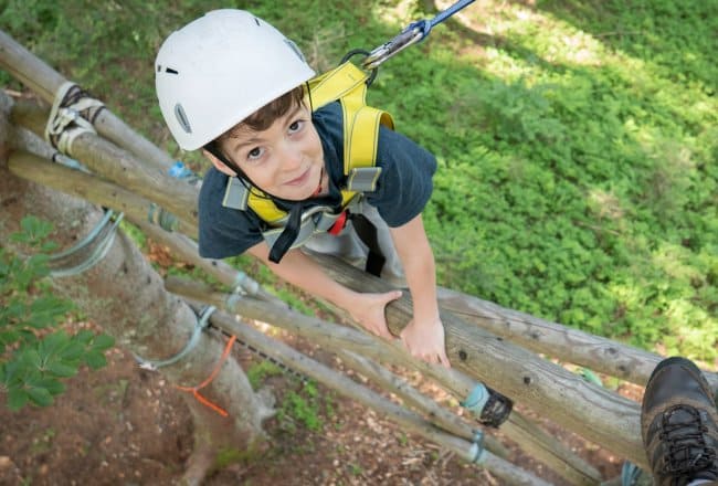  climbing in the forest