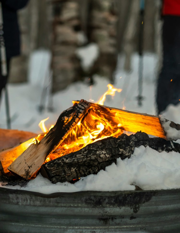Campfire in winter