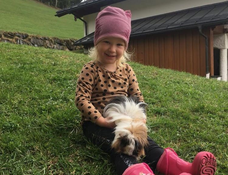 Petting zoo with guinea pig