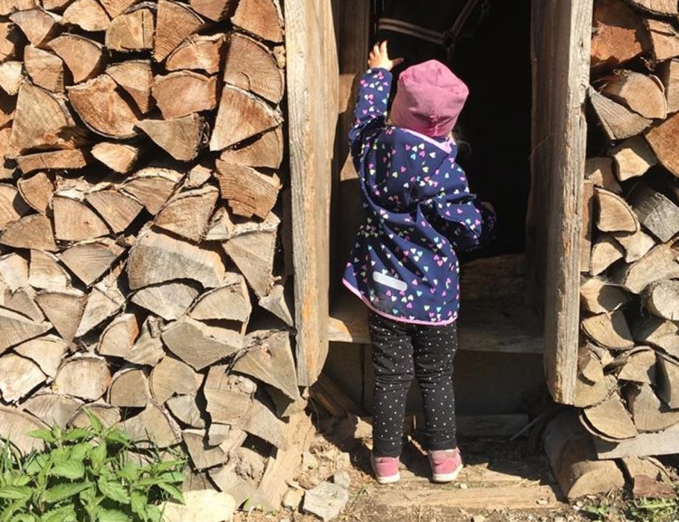  Visit the animals in the barn