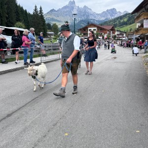 Tiere aller Art sind mit dabei.
