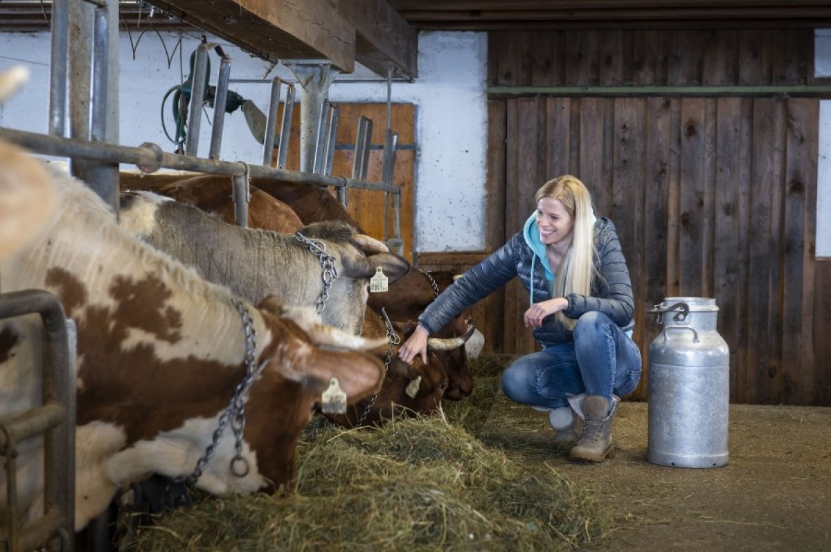 Die frische Milch liefert uns der benachbarte Lettenhof.