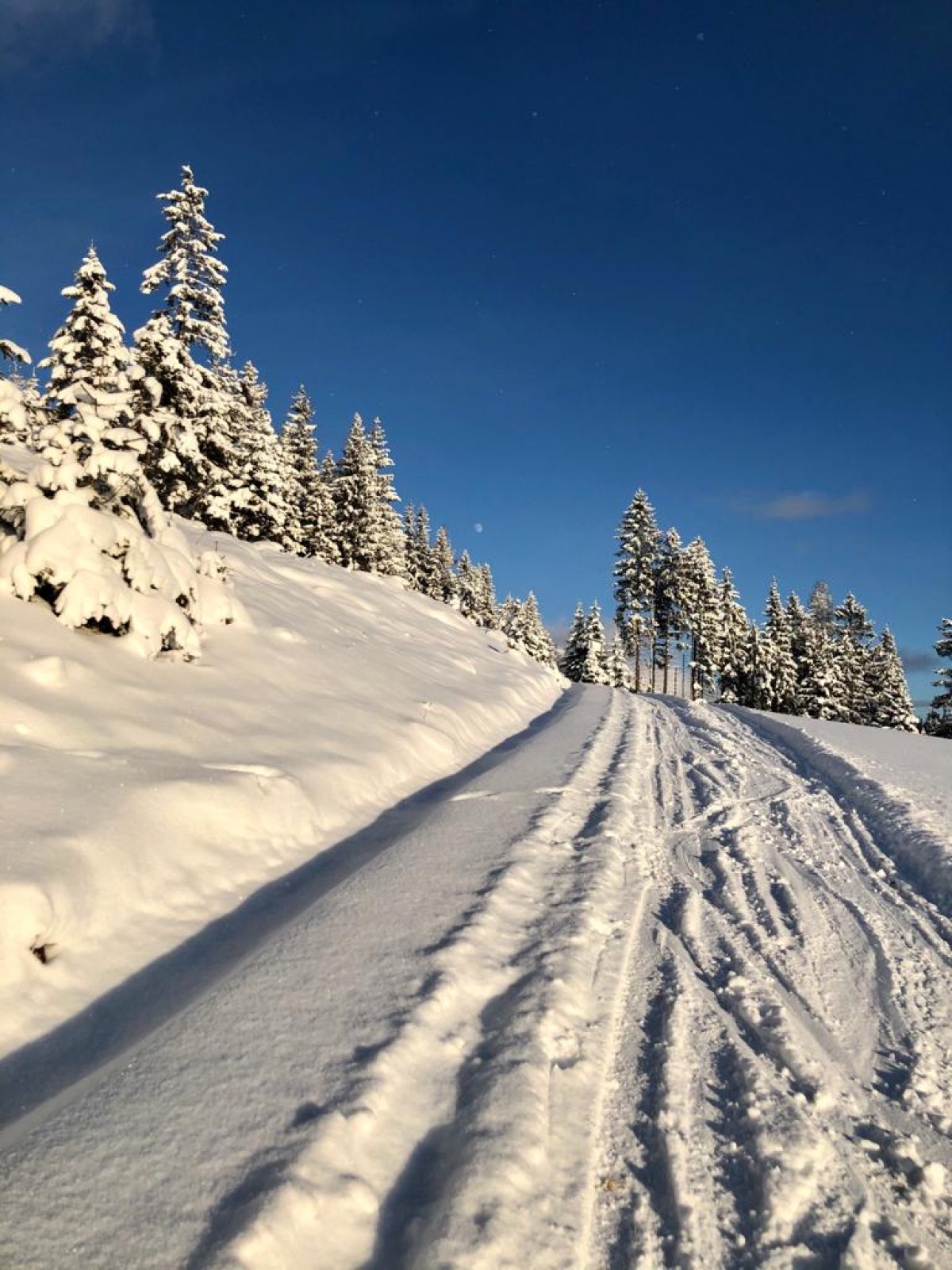 Eine tolle Skitour an einem wunderschönen Wintertag in Filzmoos, in Salzburg.